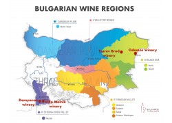 Slavi selecteert 6 zomer wijnen