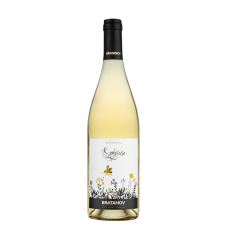 Symbiose White 2024