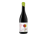 Syrah & Viognier Vintage Pop Up 2024