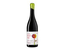Syrah & Viognier Vintage Pop Up 2024