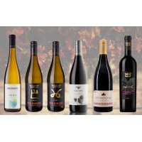 Mix Case Top wines from Bulgarian varieties x6